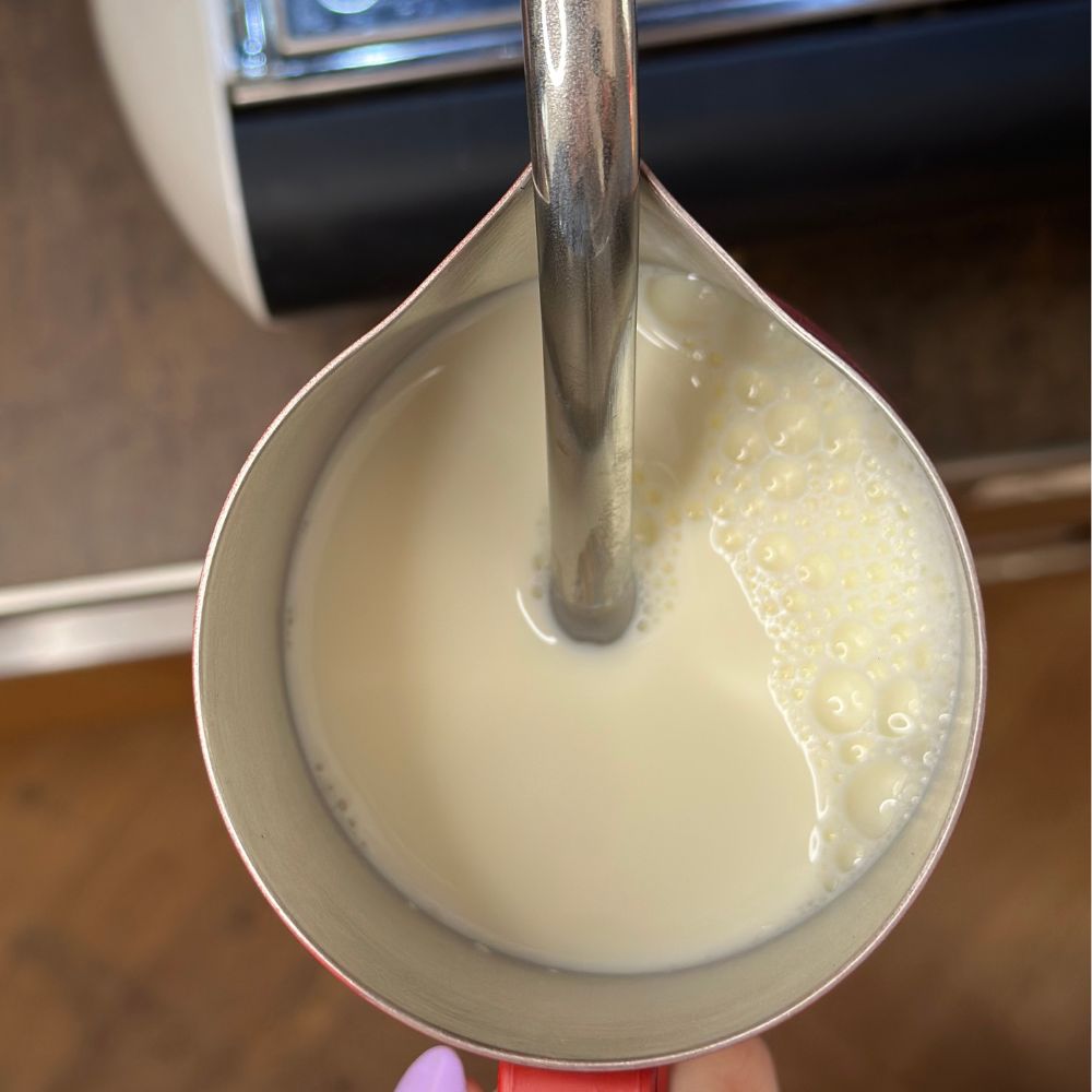 Dampflanze in Milchkännen platziert