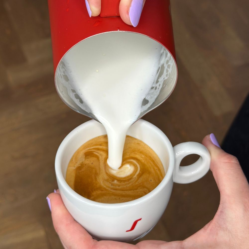 Reinigung der Dampflanze
