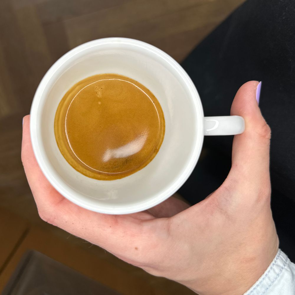 Reinigung der Dampflanze