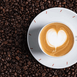 kaffee-online-only-exclusive-segafredo